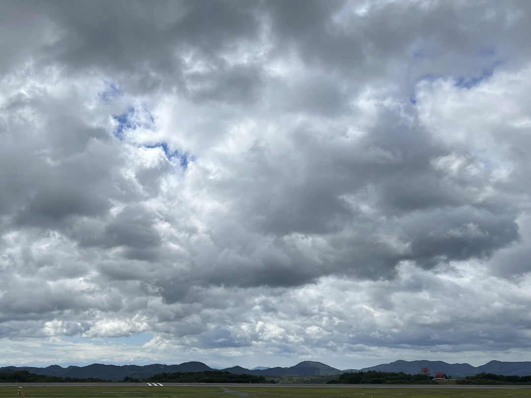 涼しい夏