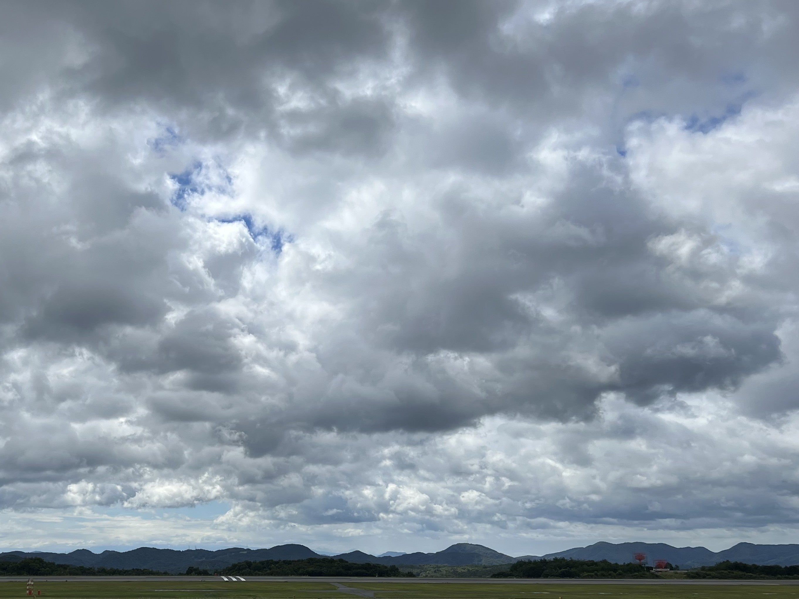 涼しい夏