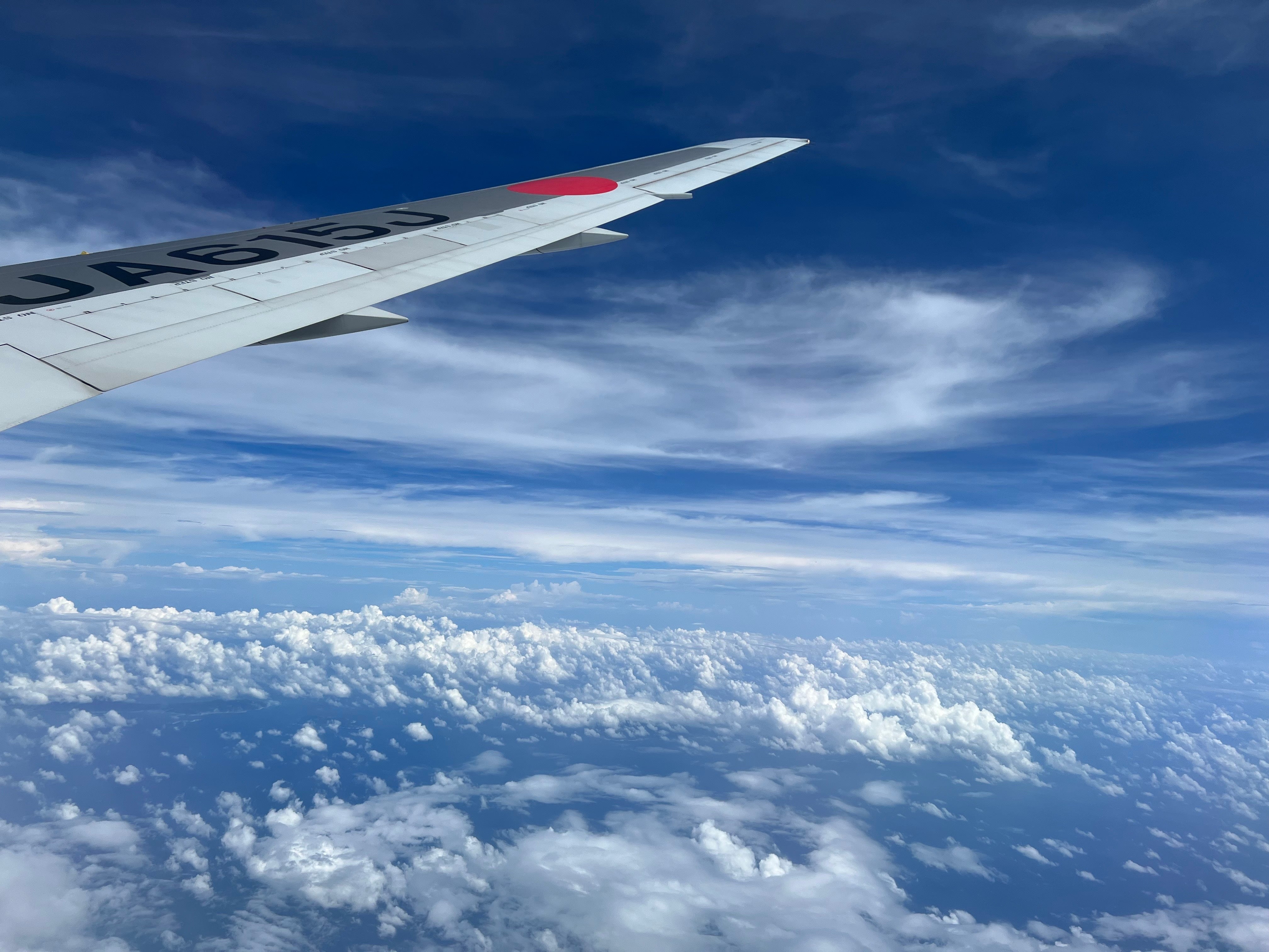 「飛行機からの景色」